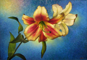  Lily 3 , 2012 