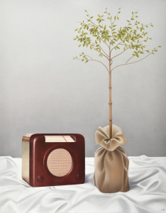 Radio music for plants,  2025