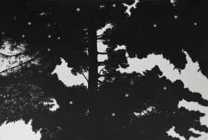 Night in the paradise forest,  2020