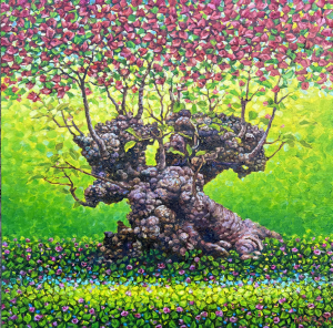 Journey to Enchanted Forest, 2025